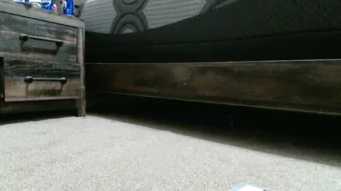 sxtn002 online show from December 20, 1:25 am