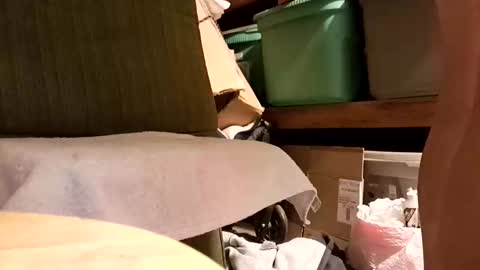 syevecrl online show from January 14, 7:47 am