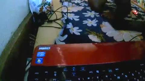 Snapshot of sylviasexy27 chatting on November 18, 9:36 am sylviasexy27 online show from November 18, 9:36 am