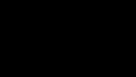 Snapshot of synop_sis chatting on November 18, 8:30 am Mila online show from November 18, 8:30 am