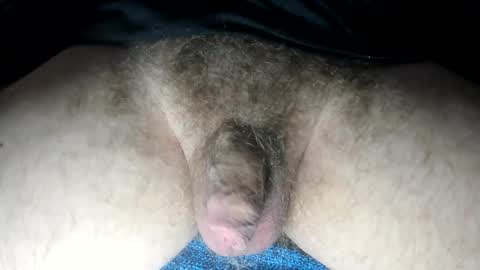 mr taco online show from February 13, 3:35 pm