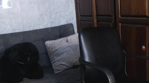 Snapshot of tairontucke chatting on December 18, 1:48 am Tairon Tucke online show from December 18, 1:48 am