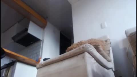 Tamara online show from February 8, 9:07 pm