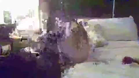 tatibaby4 online show from January 14, 6:19 am