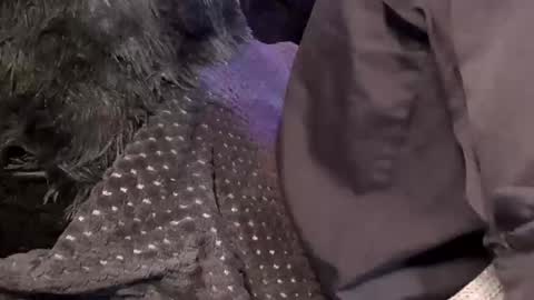 Snapshot of tattooman777 chatting on December 15, 11:47 am Jean pool online show from December 15, 11:47 am