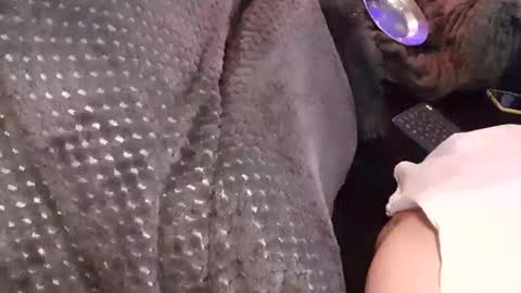 Snapshot of tattooman777 chatting on December 17, 3:45 am Jean pool online show from December 17, 3:45 am