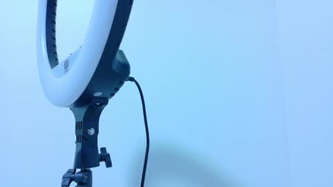 TAYLOR  online show from November 13, 11:53 am