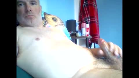 Snapshot of tazo78 chatting on November 9, 12:58 pm tazo78 online show from November 9, 12:58 pm