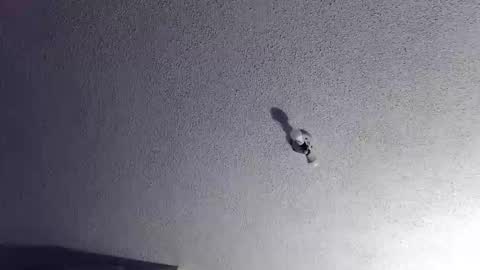 technosex14 online show from November 20, 3:28 am