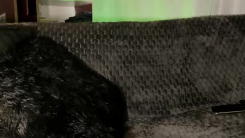 Teo online show from January 8, 4:09 pm