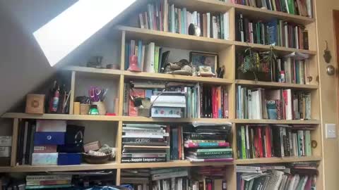 Terra Worship Findomme online show from March 3, 6:01 pm