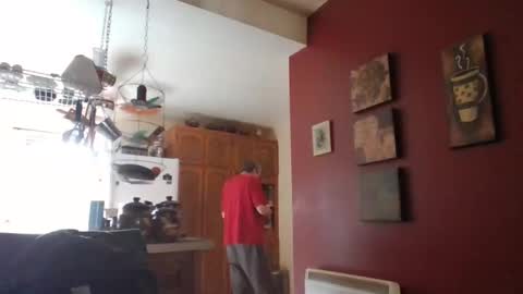 tetuo2 online show from September 17, 6:42 pm