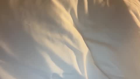 tevvdaren online show from March 18, 1:47 pm