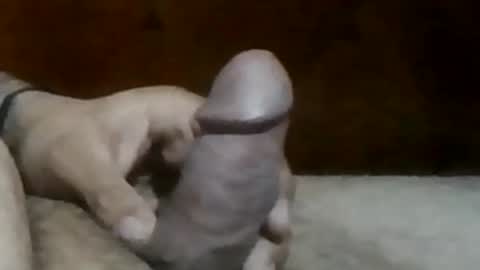 Snapshot of texasbigdaddy63 chatting on September 19, 10:43 pm texasbigdaddy63 online show from September 19, 10:43 pm