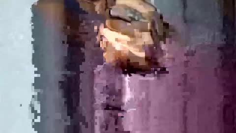 TexasDick online show from November 16, 1:55 am