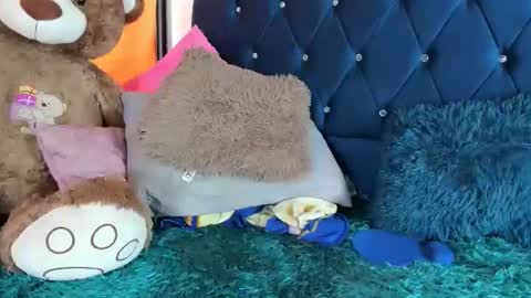 thania      sometimes in the company of Alan and Maria online show from January 11, 6:24 pm