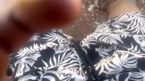 thatoneguy2802 online show from January 17, 7:57 am