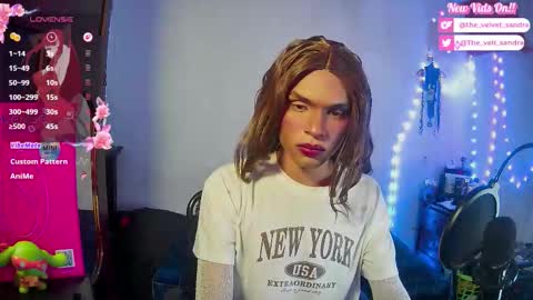 Snapshot of the_velvet_sandra chatting on February 13, 5:03 am Sandra 3 online show from February 13, 5:03 am