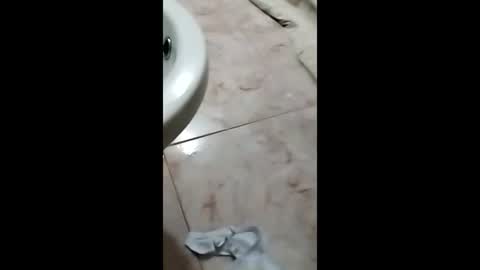 thedo121111 online show from October 1, 1:17 pm