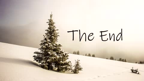 Snapshot of thedome372 chatting on March 3, 10:42 pm thedome372 online show from March 3, 10:42 pm