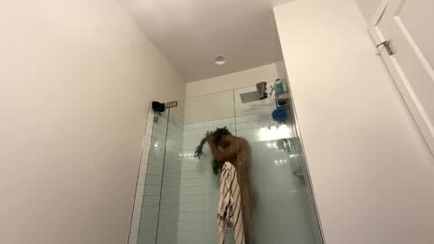 king capo thee online show from December 26, 10:52 pm