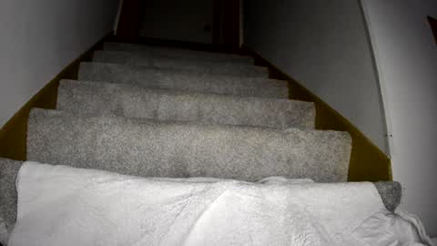 thegreat6268469 online show from March 9, 12:10 am