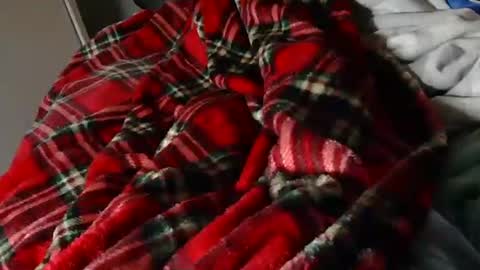 Liam online show from March 23, 8:35 pm