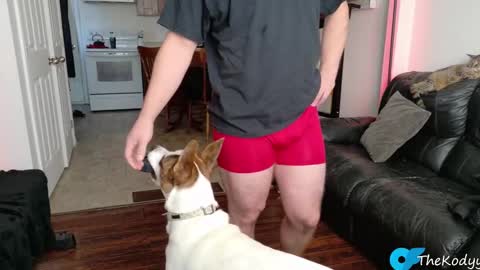 thekodyy online show from November 4, 1:10 pm