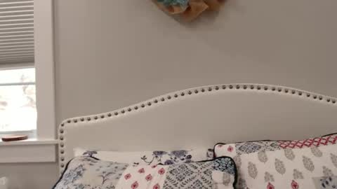 Snapshot of thelipsdown chatting on December 1, 6:19 pm Lacey online show from December 1, 6:19 pm