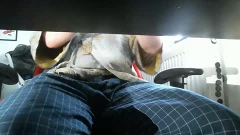 thelittleteaser online show from April 20, 2:42 pm