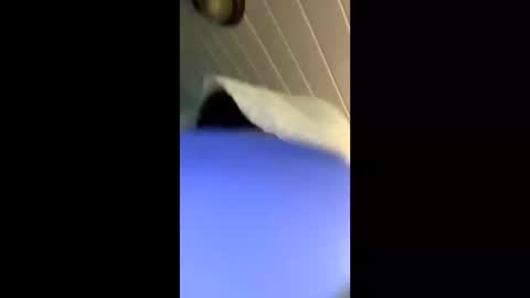 Snapshot of theonlyboi43ver chatting on November 4, 3:33 pm theonlyboi43ver online show from November 4, 3:33 pm