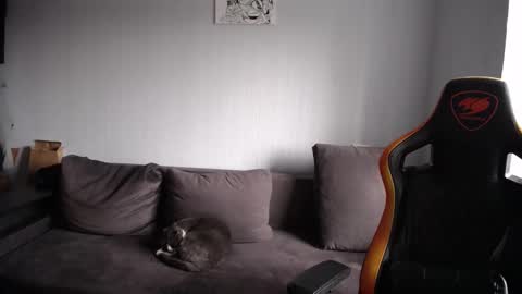 Nick   online show from November 23, 8:47 am