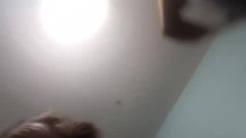 thetinyturtle online show from January 15, 12:04 am