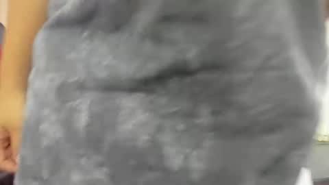 thomasthund online show from January 14, 3:50 pm