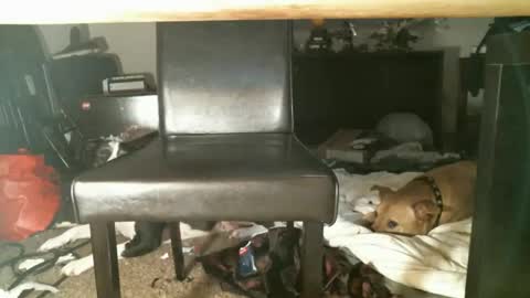 Snapshot of thumperdlj chatting on October 27, 1:15 pm Thumper online show from October 27, 1:15 pm