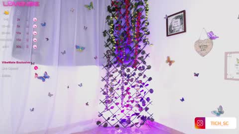 Snapshot of tich__ chatting on December 21, 12:16 pm TICH online show from December 21, 12:16 pm