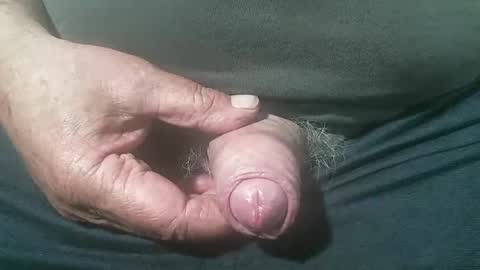 tiger1181 online show from September 13, 4:34 am