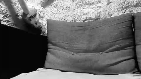 tigerbigcockkk online show from October 7, 8:17 pm