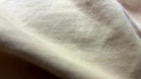 timber2255 online show from October 31, 2:07 pm