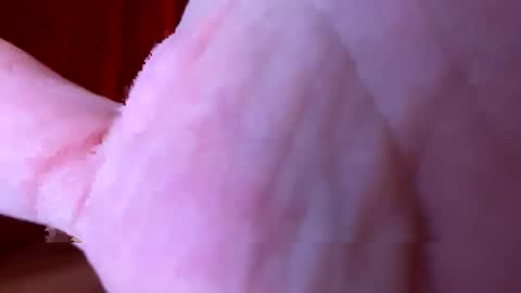 timtim19781978 online show from September 10, 11:21 am