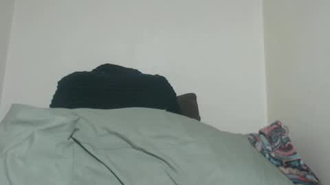 Tina online show from April 12, 2:00 pm