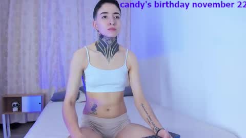 Snapshot of tinny_and_candy chatting on November 10, 12:15 pm TINNY AND CANDY online show from November 10, 12:15 pm