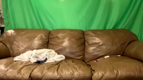 Snapshot of tjfemboi5641 chatting on October 23, 10:36 am tjfemboi5641 online show from October 23, 10:36 am