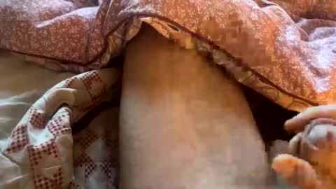 tliverth online show from November 28, 7:11 am