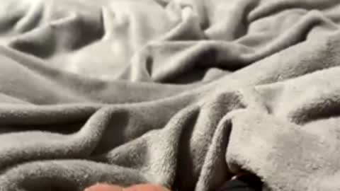 tmue online show from February 27, 1:33 pm