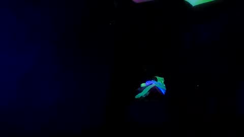 Snapshot of tneedick chatting on February 21, 3:01 am Sissy Boi online show from February 21, 3:01 am