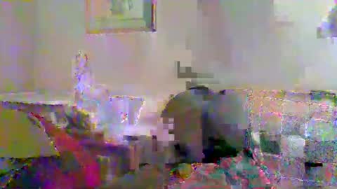 Snapshot of tnvols1968 chatting on November 23, 12:54 am Vols online show from November 23, 12:54 am