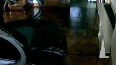 Tobiko online show from December 28, 4:52 pm