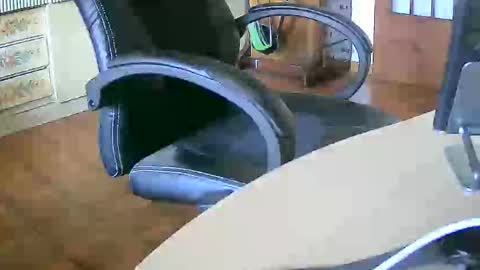 Tobiko online show from September 30, 11:48 am