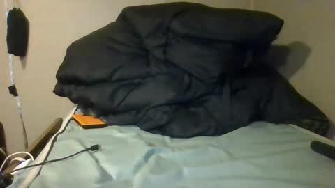 Snapshot of todamnmuch chatting on January 4, 3:50 am Dickinsince93 online show from January 4, 3:50 am